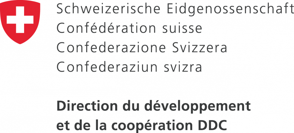 DDC Suisse